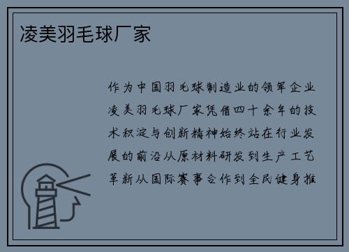 凌美羽毛球厂家